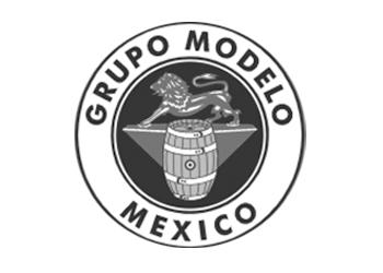 grupo-modelo